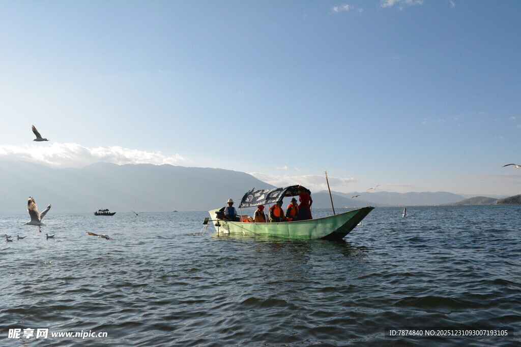 海上小船与飞翔海鸟