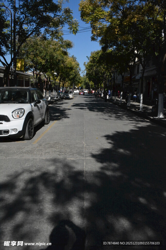 林荫街道上的白色汽车