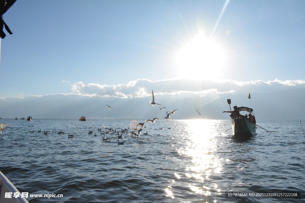 海上游船伴飞鸟迎阳光