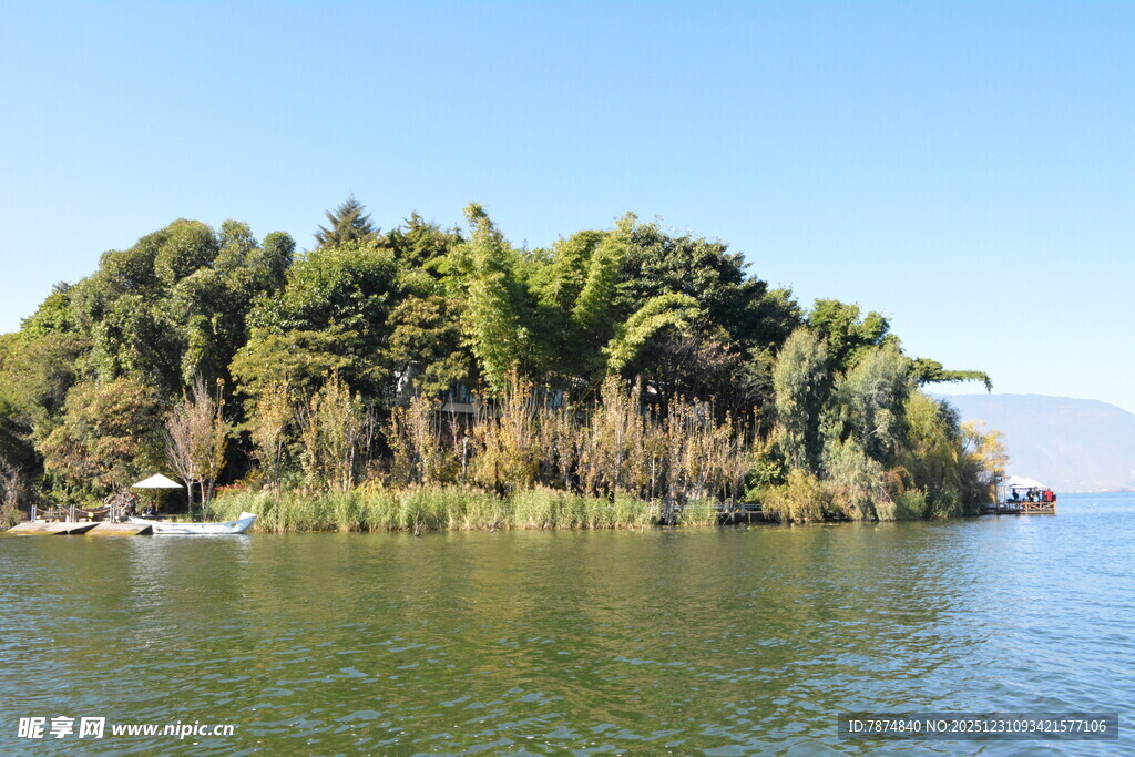 湖中小岛绿意盎然
