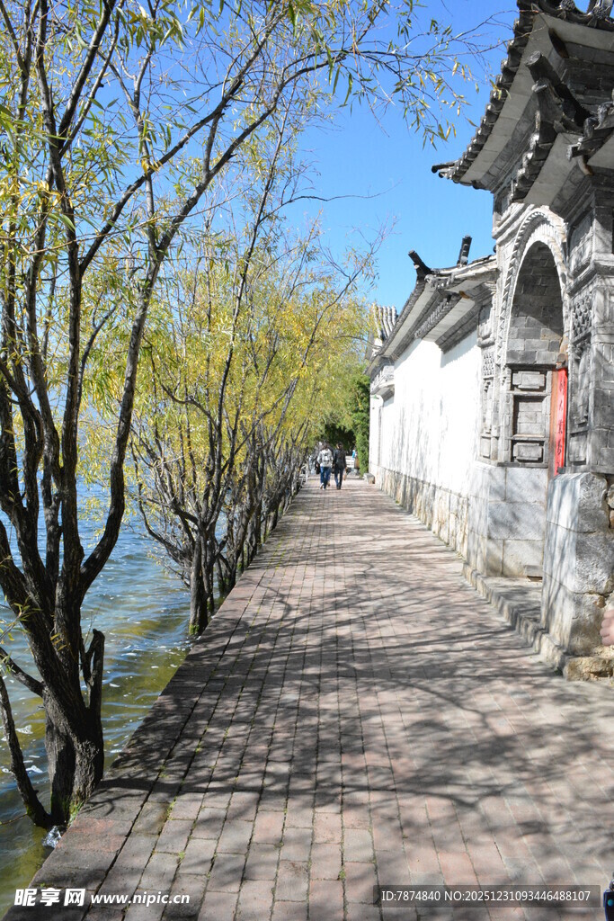 古巷春景 柳拂白墙小道