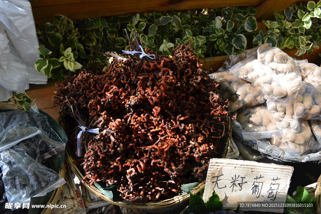 特色菌类干货展示