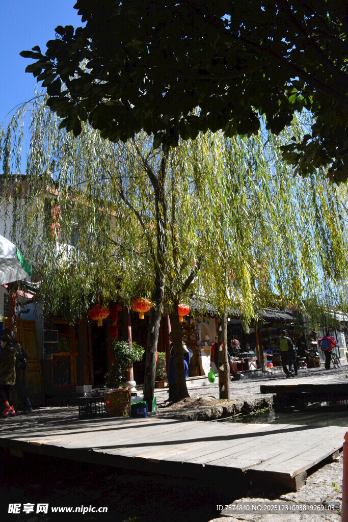 户外休闲场景中的人群活动