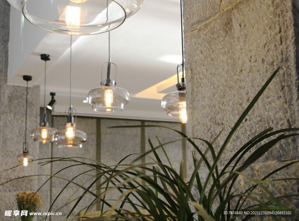 室内简约吊灯与绿植景观