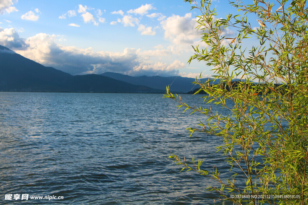 湖畔春色自然风光美景