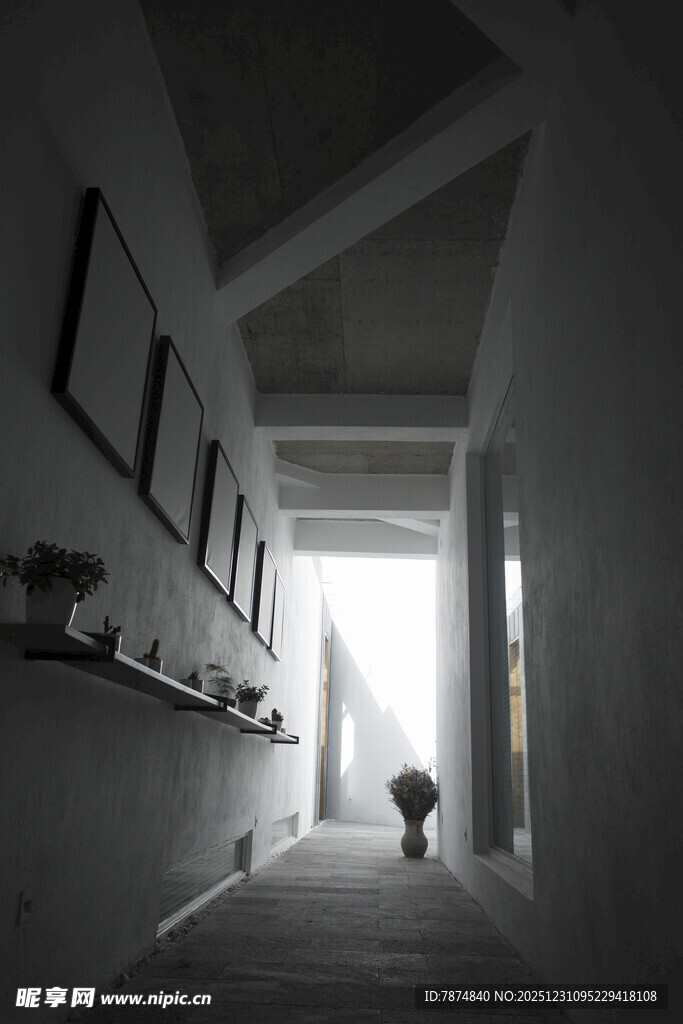 走廊尽头的光影与猫咪