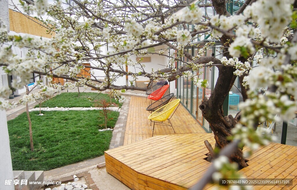 春日繁花下的休闲步道