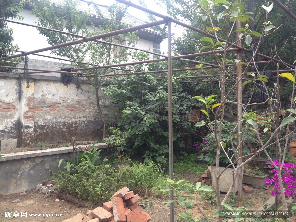 庭院绿植攀爬架景观