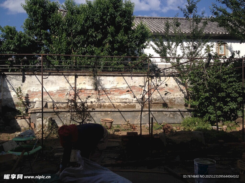 户外围墙旁的绿植景观