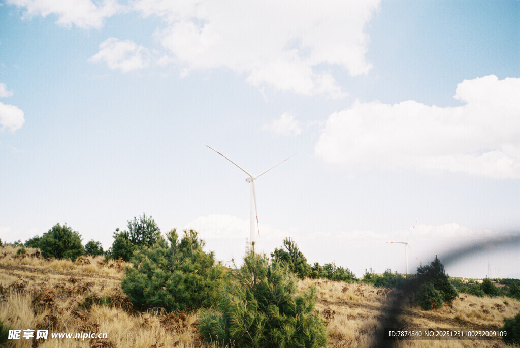 旷野绿植与蓝天白云