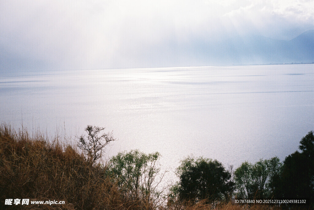 湖畔草木与波光景致