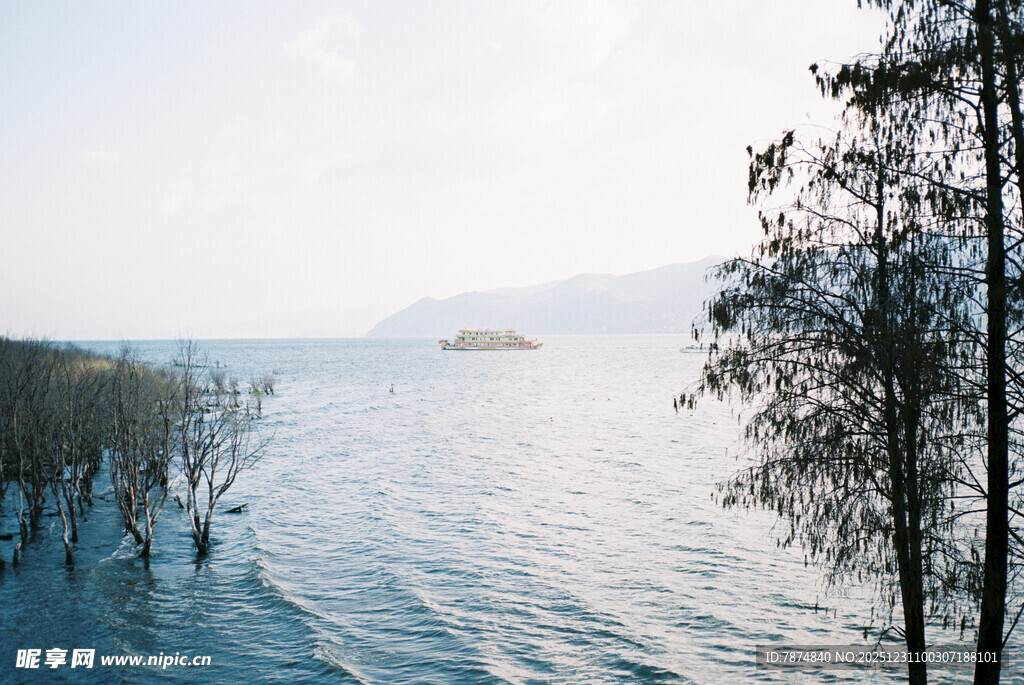 湖畔枯树映碧水