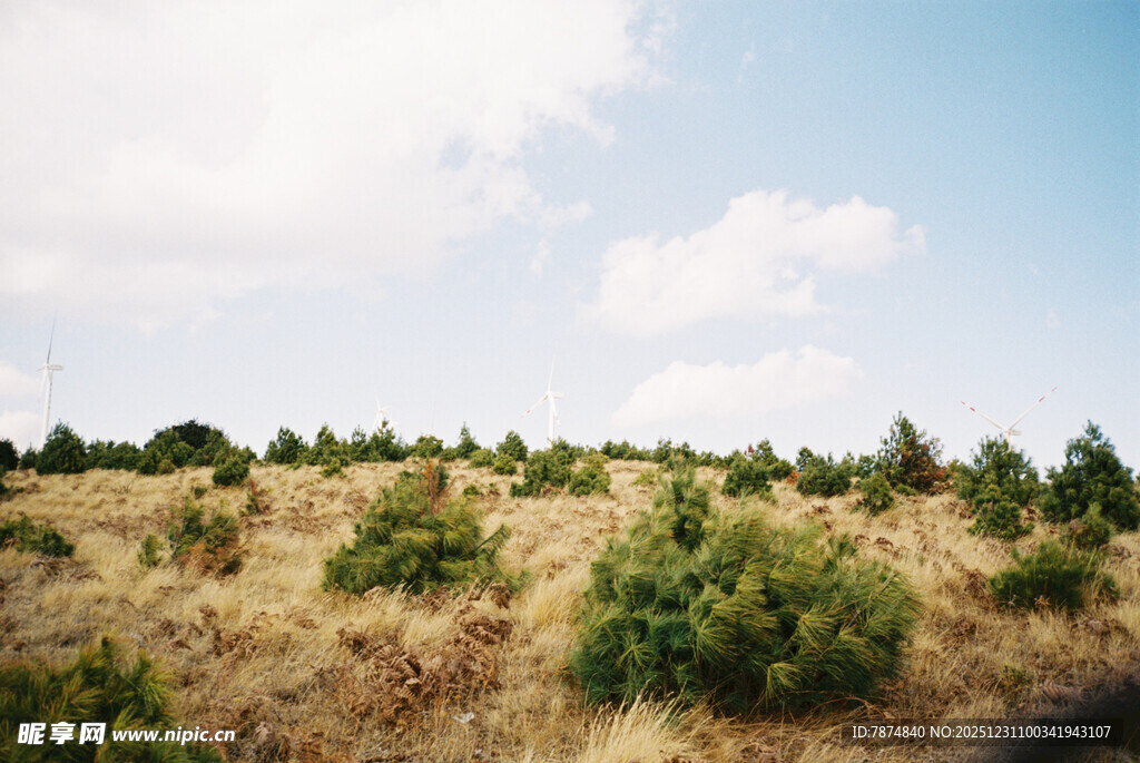 广袤田野上的绿色植被