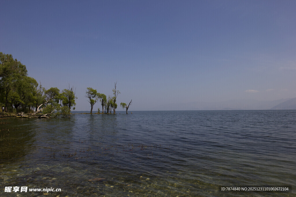 湖畔风光 静谧湖水与绿树