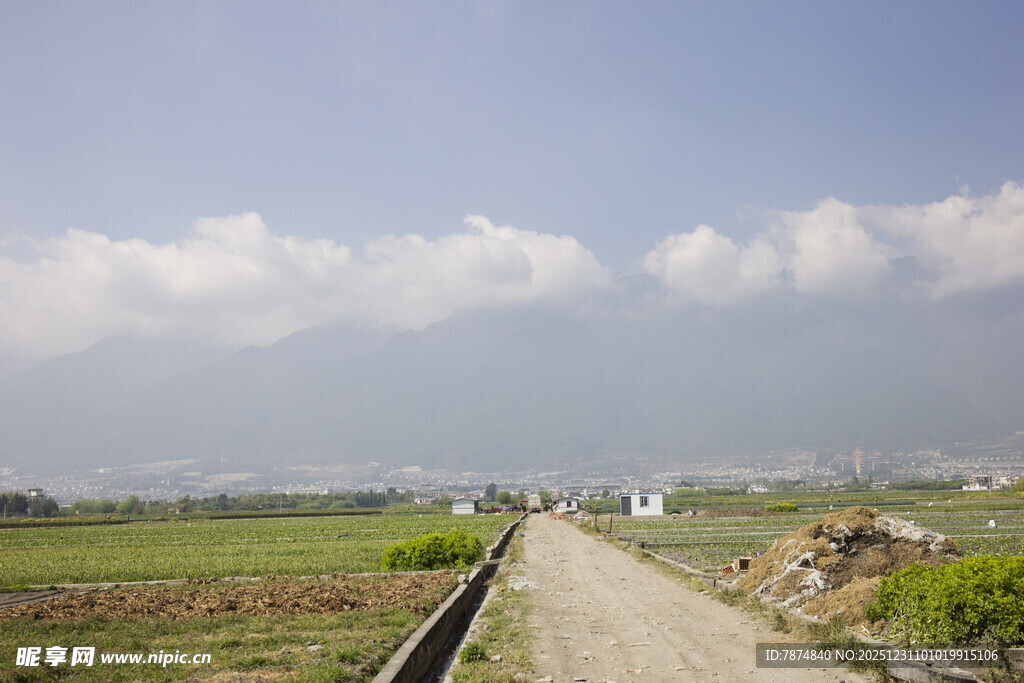 乡间土路 田野风光