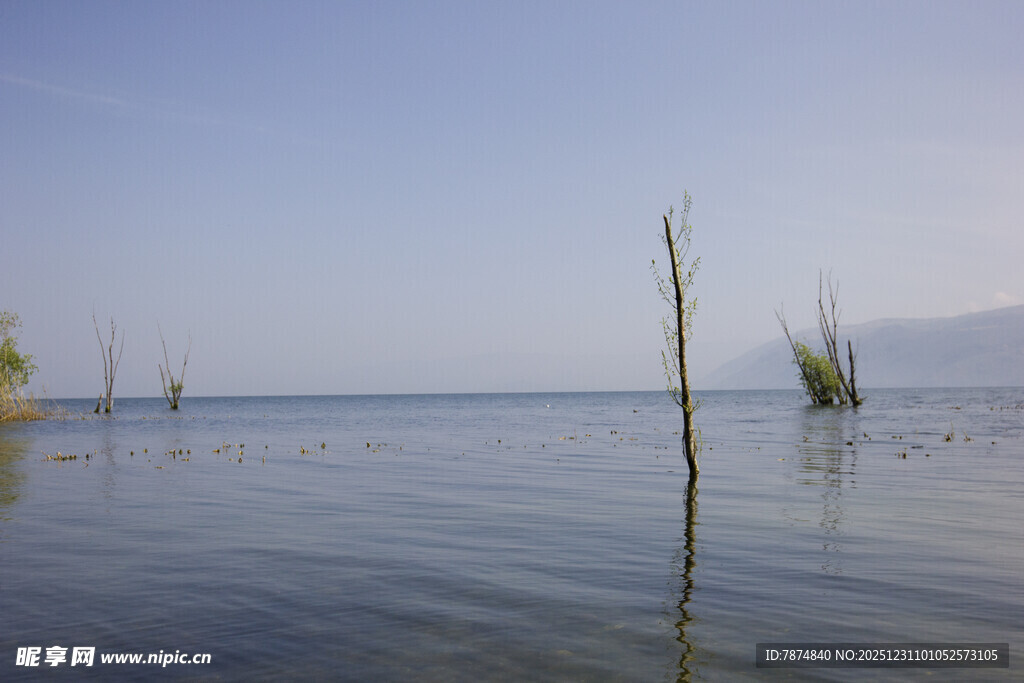 平静湖面的水中景致
