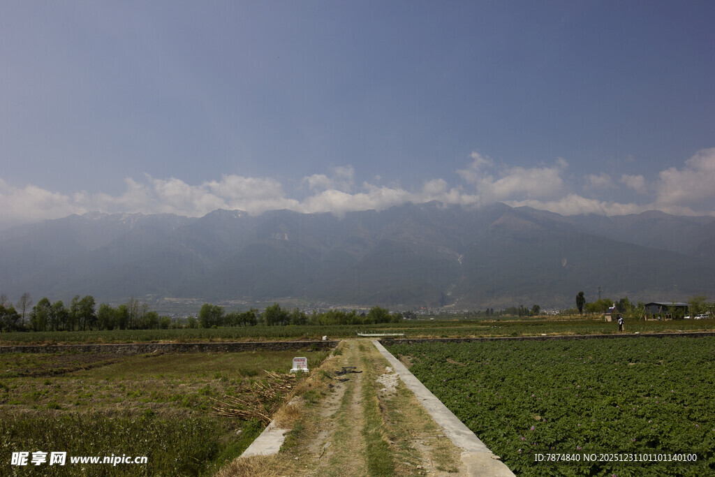 田园风光中的乡间小路