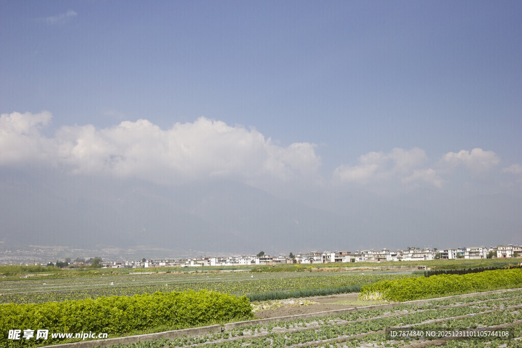 田园风光 绿野与远村