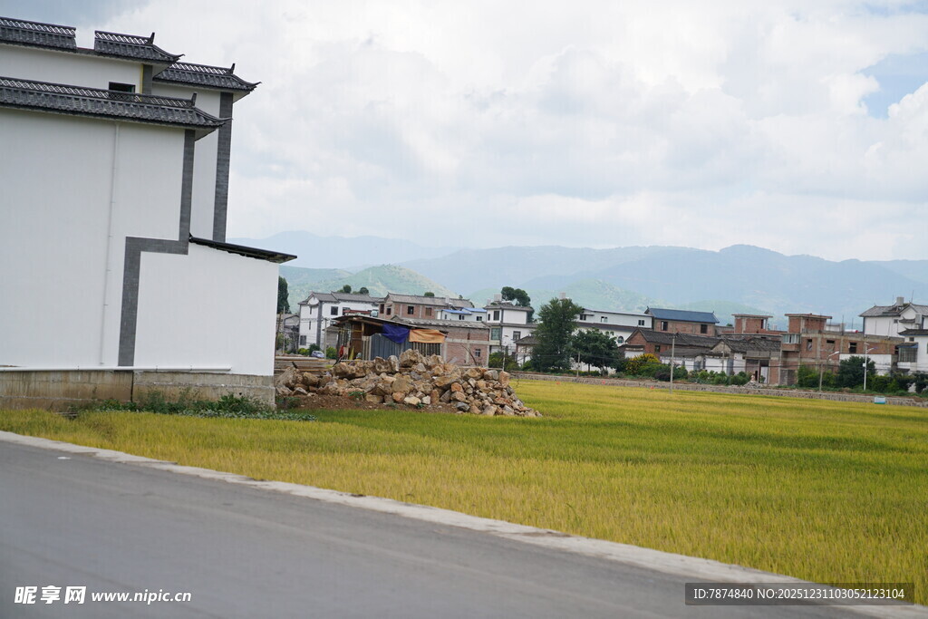 乡村道路旁的田园风光
