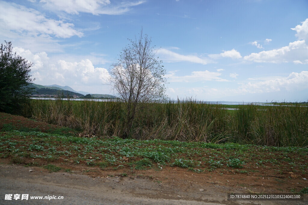 田野风光 宁静乡村景致