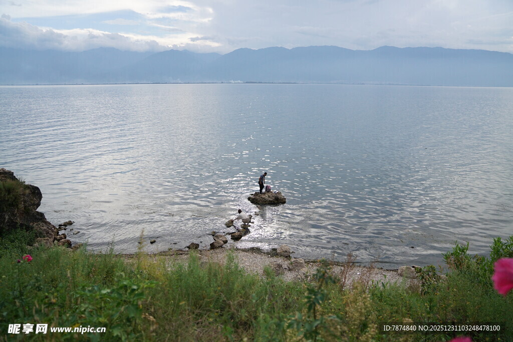 湖畔美景 水中孤石伴繁花