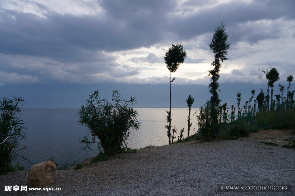 海边黄昏下的绿植与道路