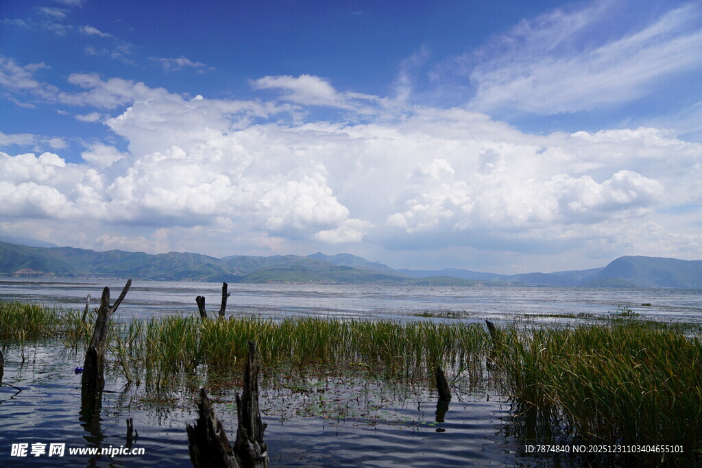 湖畔枯木与蓝天白云美景