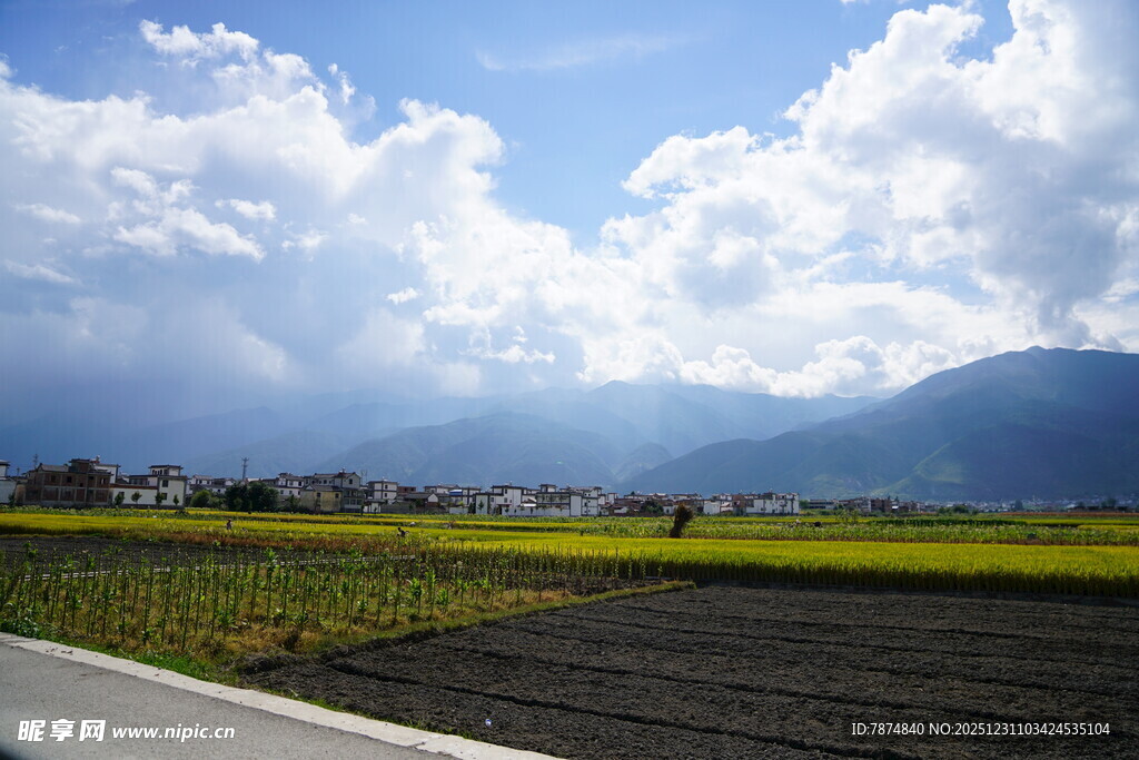 乡村公路边的田园风光
