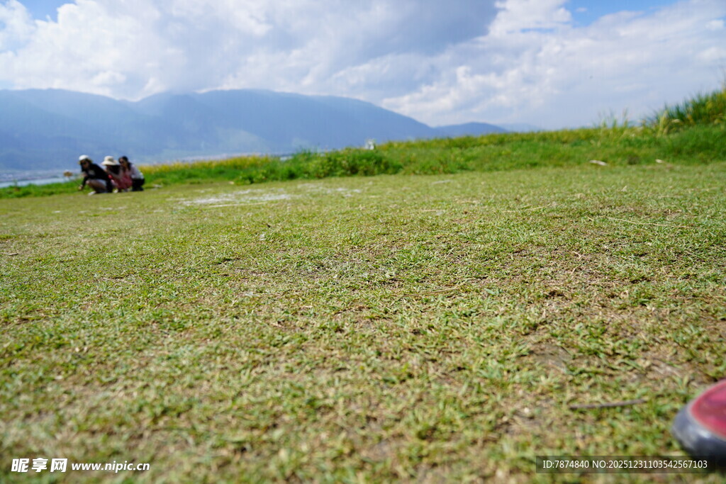 草原风光与远处的车辆
