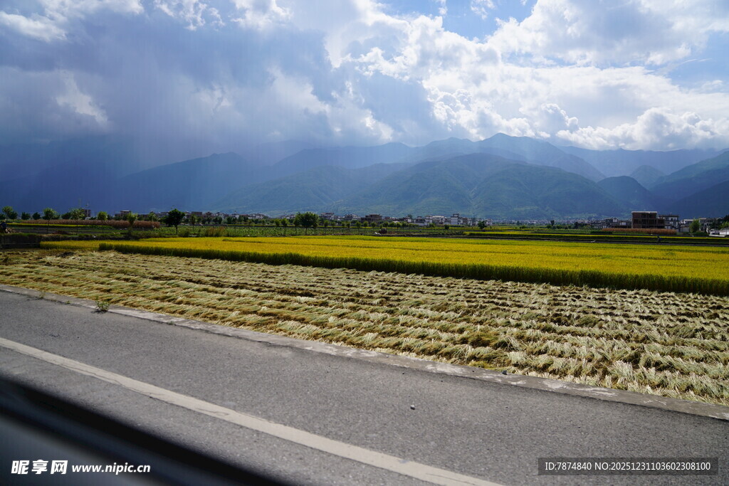 公路边的田野与远山风景