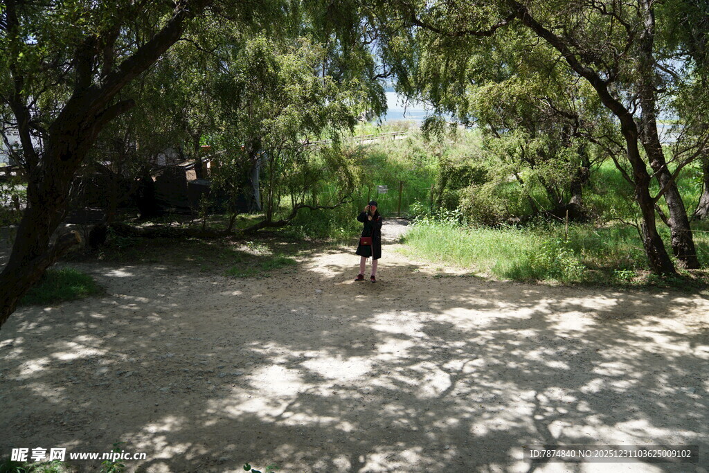 林间小道上的独行者