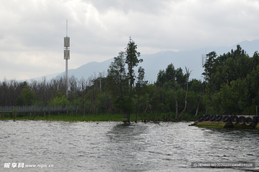 水边通信塔与葱郁树林