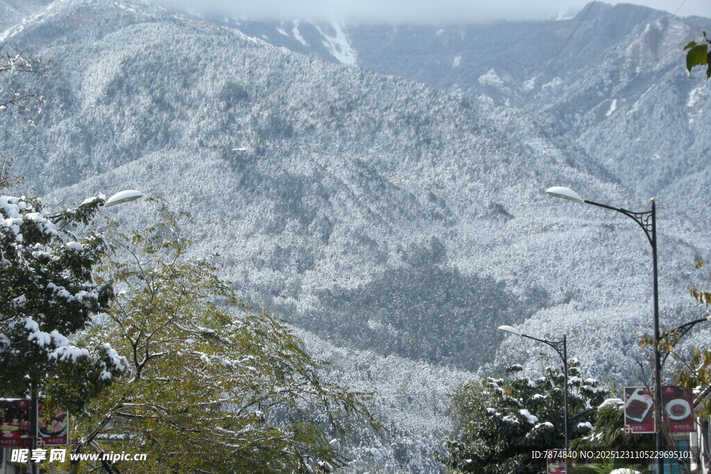 雪覆山峦 林木点缀