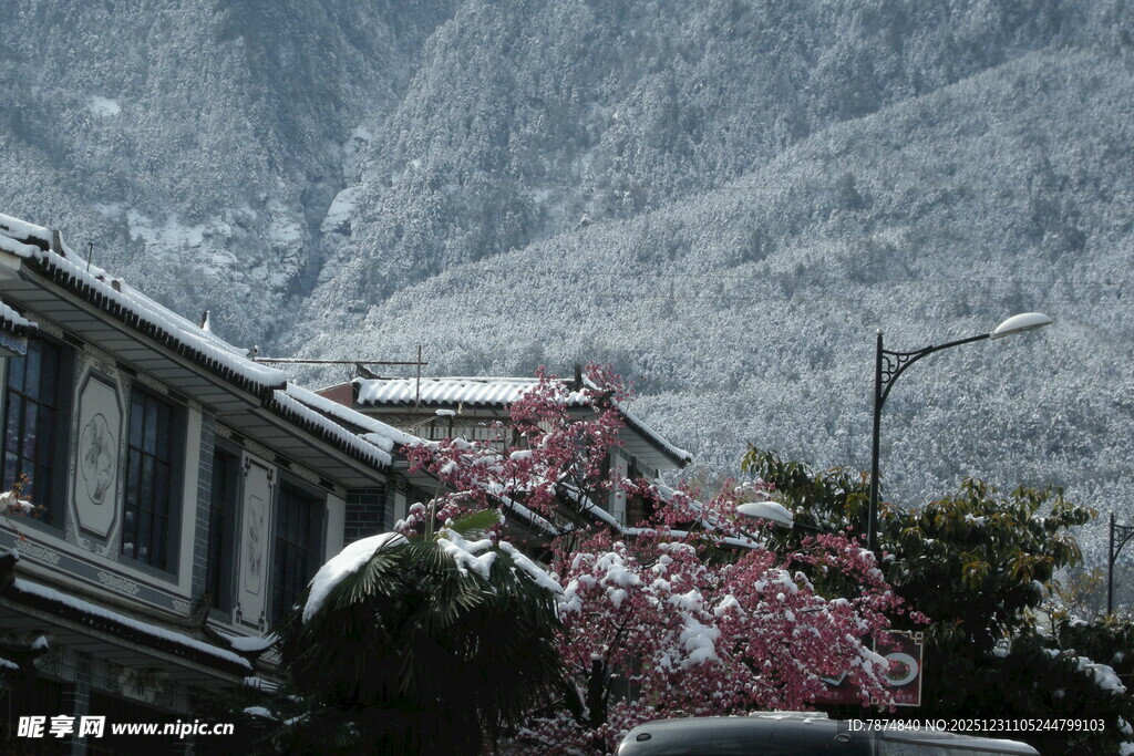 雪覆山村景 红梅绽屋旁