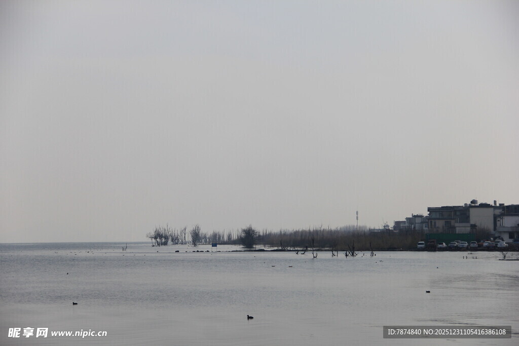 海边景致 远处建筑与水域