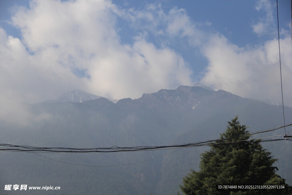 山间云景与挺拔树木