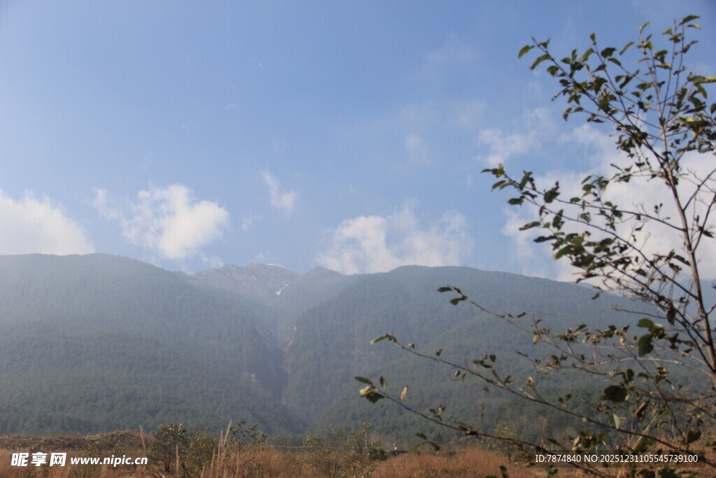 山间景致 枝叶伴远山蓝天