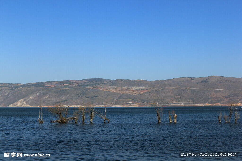 宁静湖景中的水中木桩