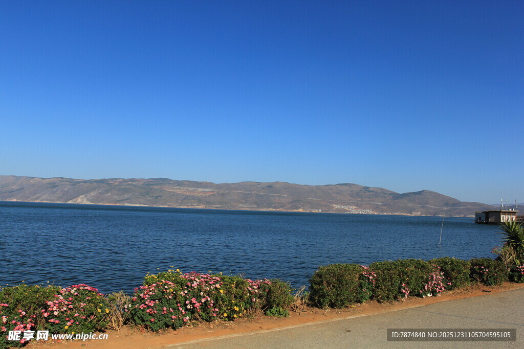 湖畔美景 繁花伴碧水蓝天