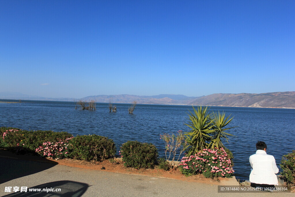 湖畔美景 一人静赏风光