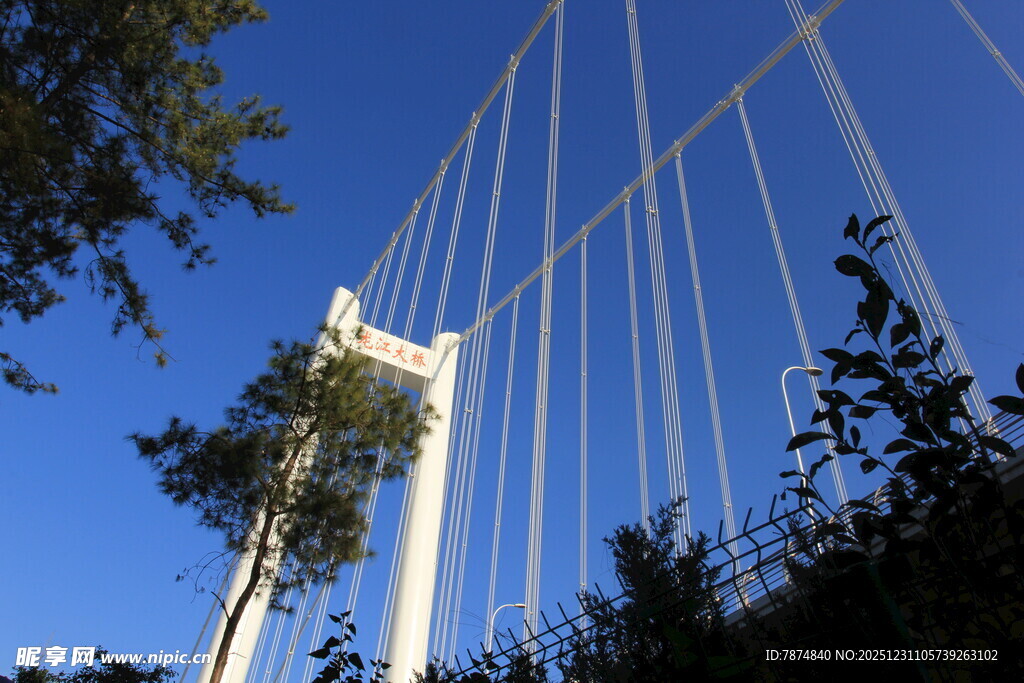 仰视下的现代桥梁景观