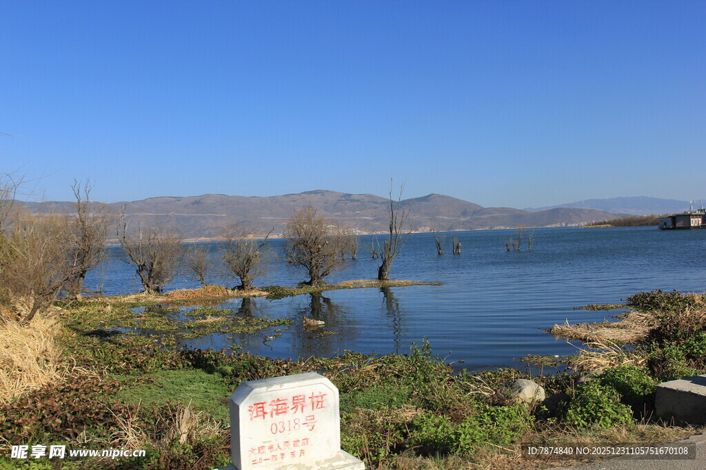 湖畔风光 宁静水边景致