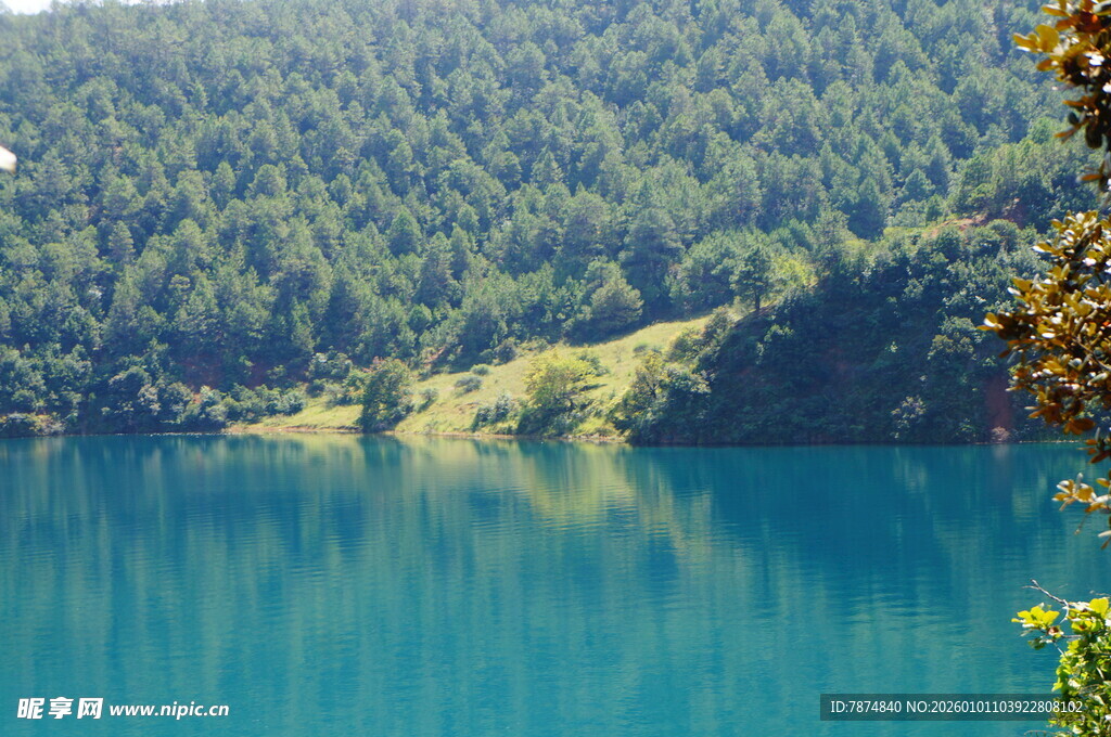 美丽蓝湖与葱郁山林