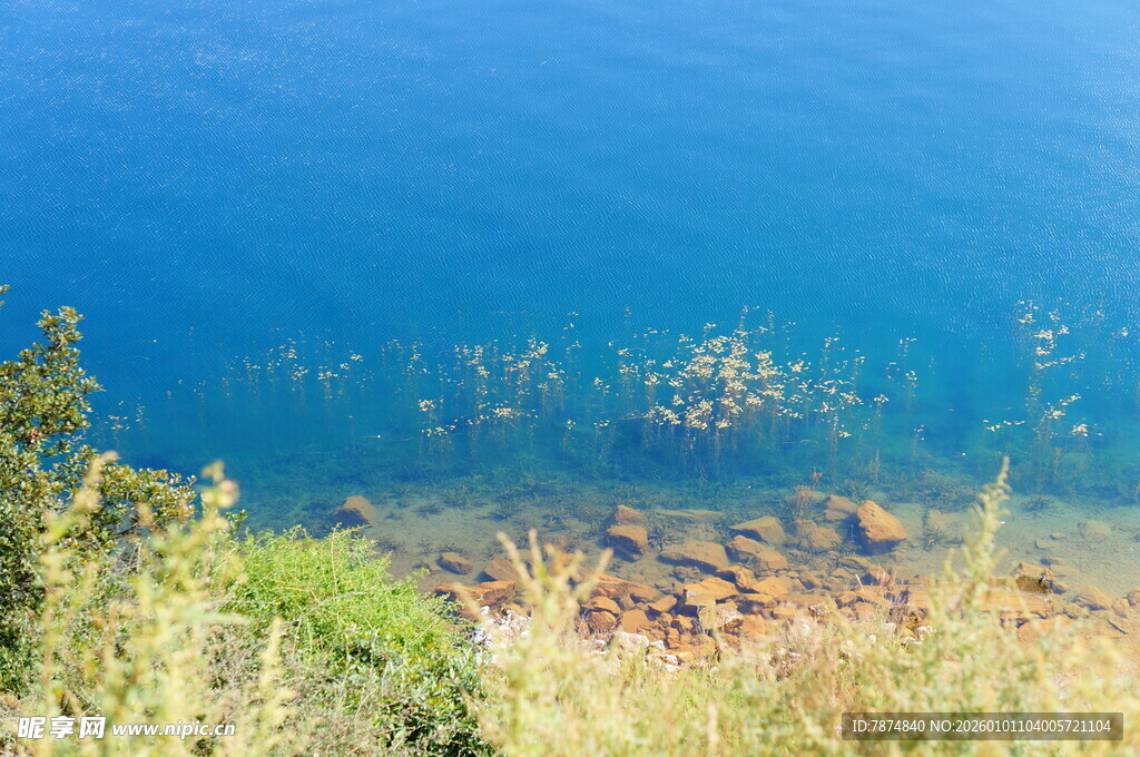 湖畔绿植与清澈湖水景致