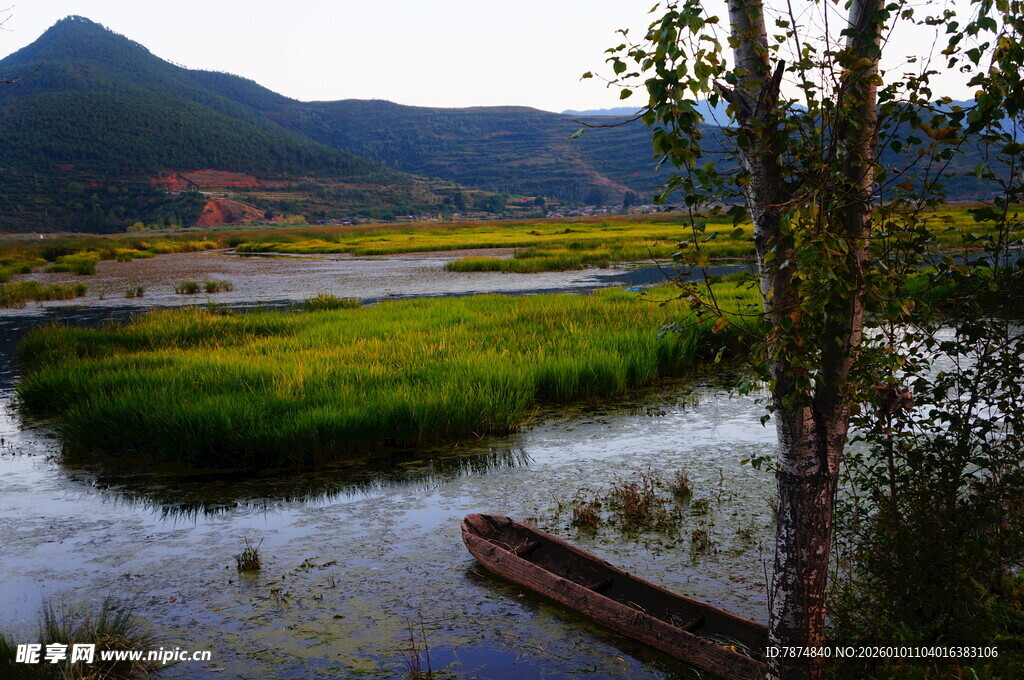 山间河畔的静谧风光