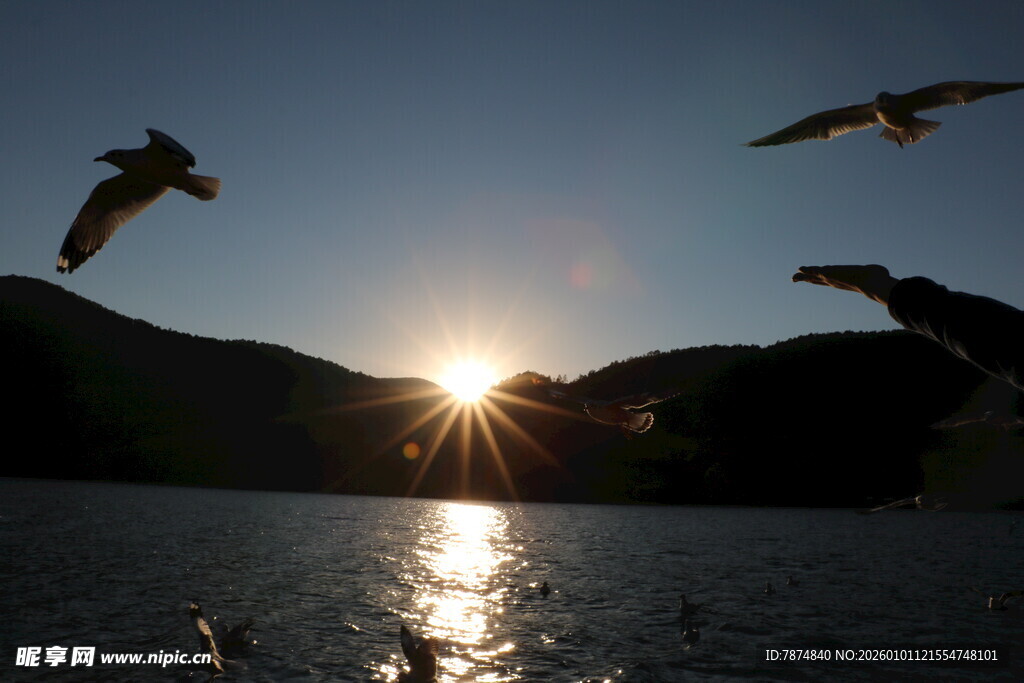 夕阳下飞鸟伴湖景