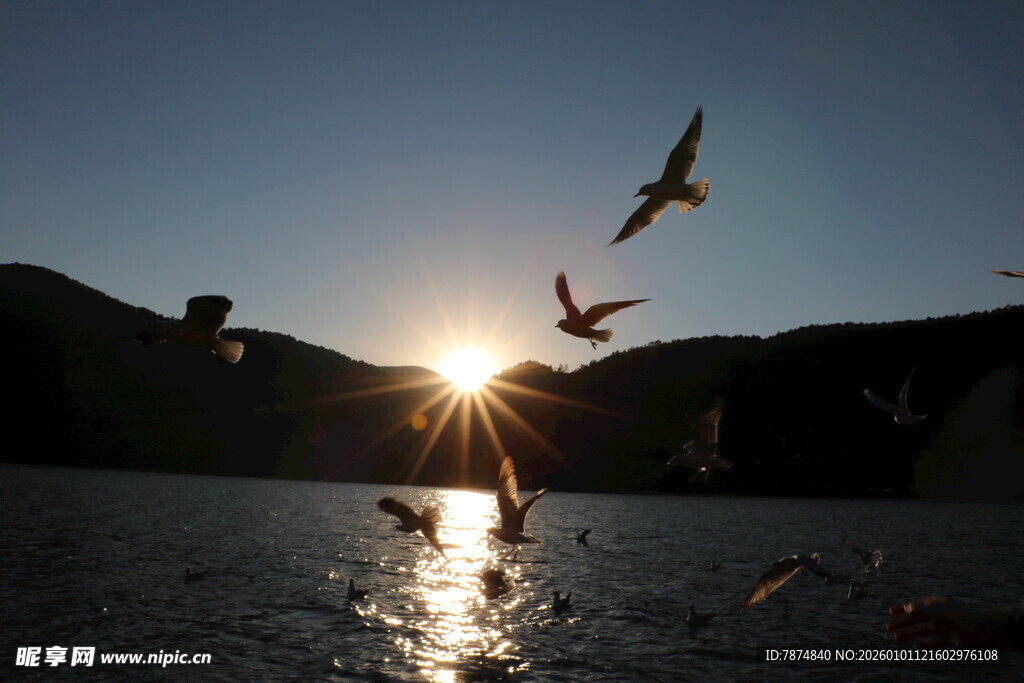 夕阳下飞鸟嬉戏于湖面