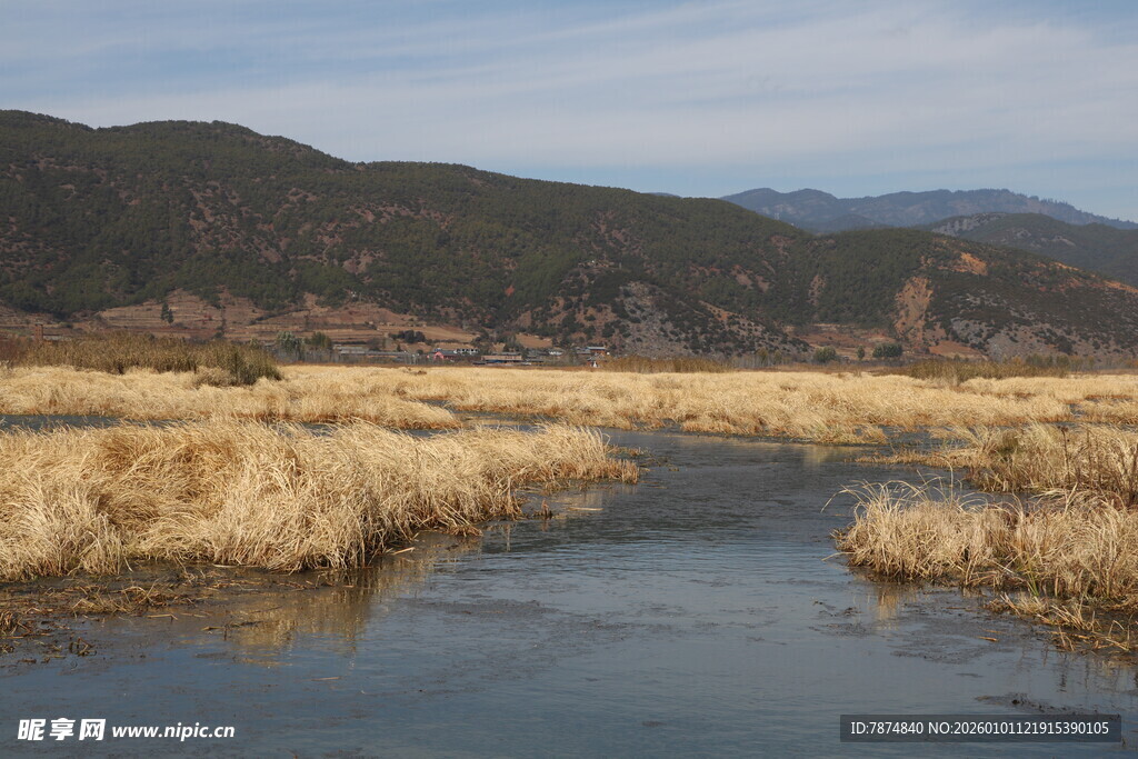 河畔枯草与远山风景