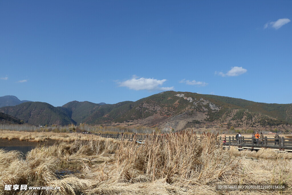 山野间的枯黄草地与远山