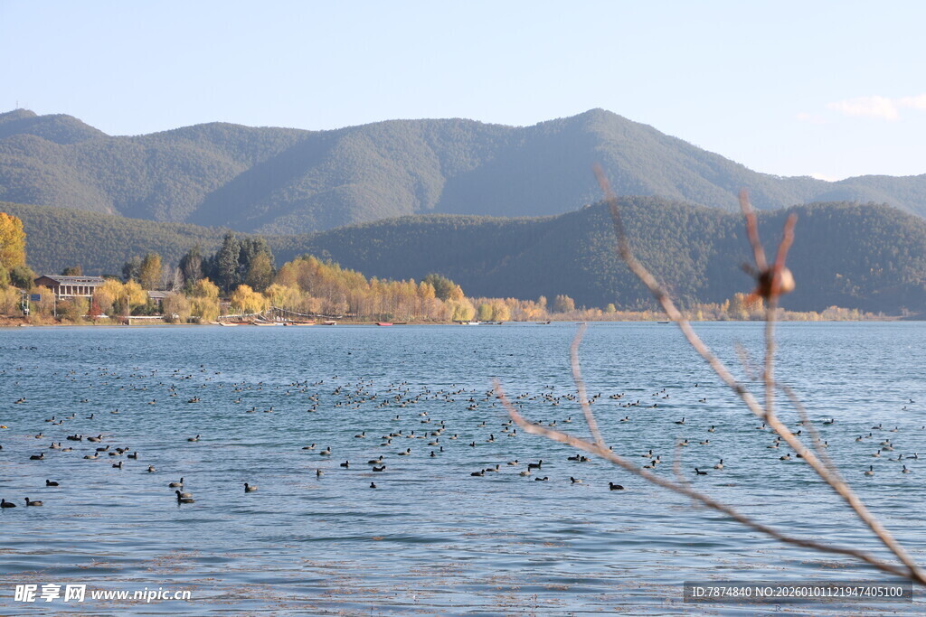 湖畔秋景 远山与飞鸟